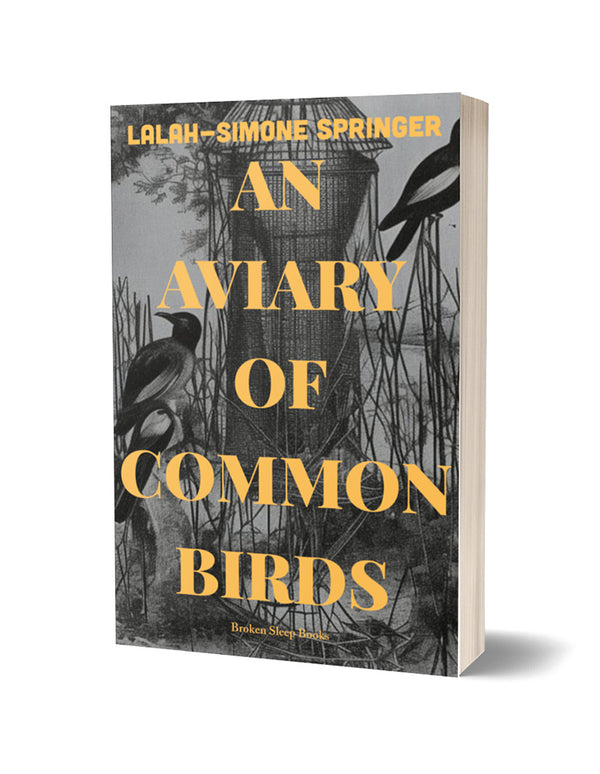 An Aviary of Common Birds by Lalah-Simone Springer