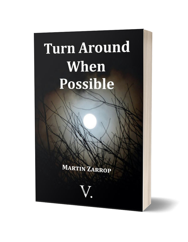 Turn Around When Possible by Martin Zarrop