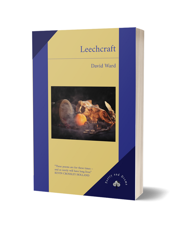 Leechcraft by David Ward PRE-ORDER