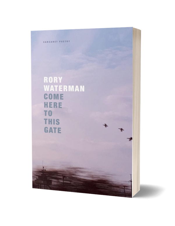 Come Here To This Gate by Rory Waterman