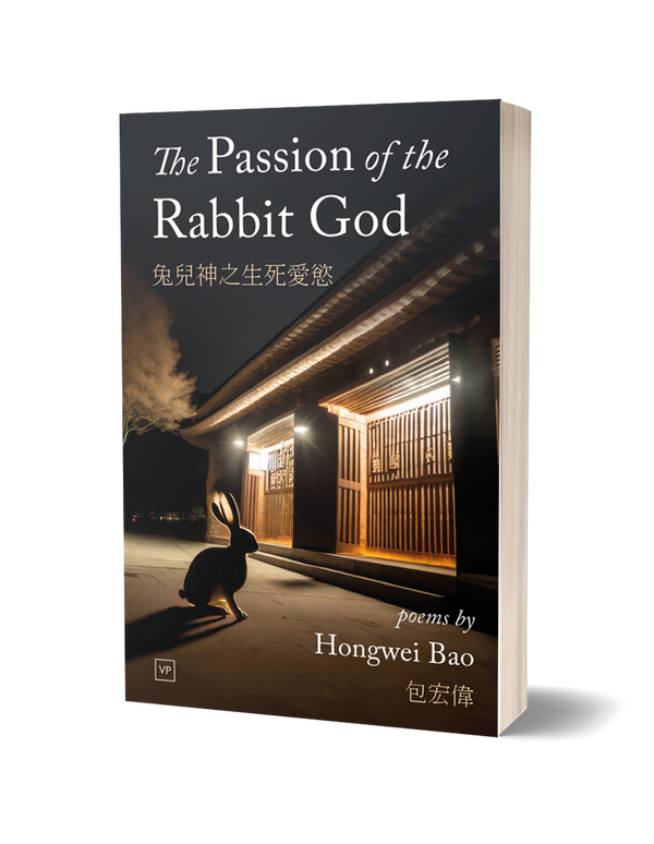 The Passion of the Rabbit God by Hongwei Bao