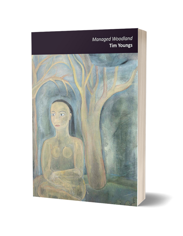 Managed Woodland by Tim Youngs