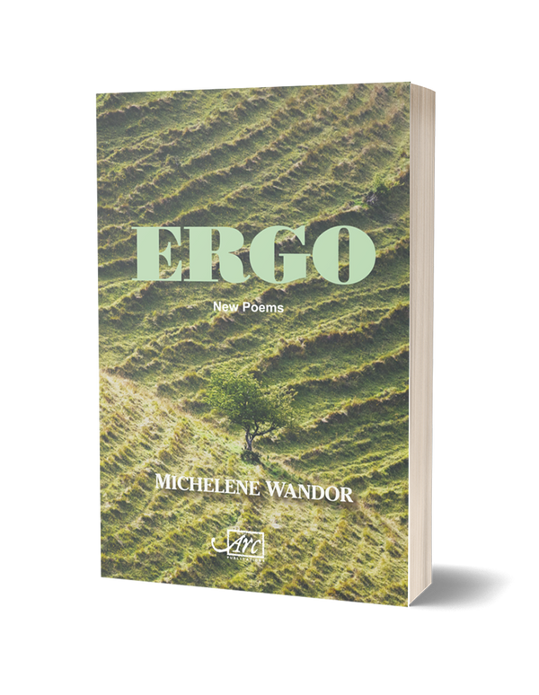 Ergo by Michelene Wandor