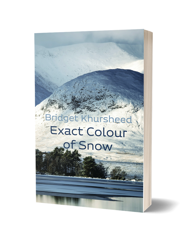 Exact Colour of Snow by Bridget Khursheed