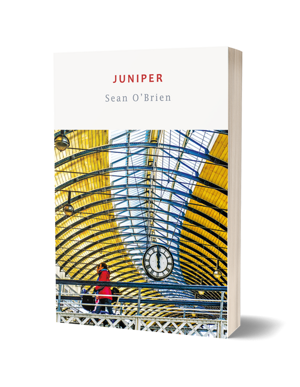 Juniper by Sean O'Brien