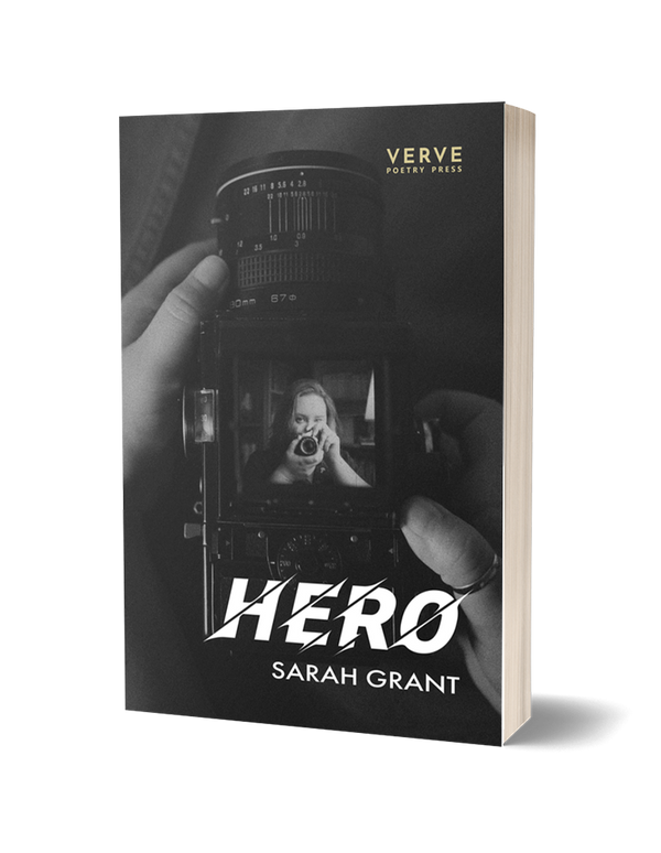 Hero by Sarah Grant