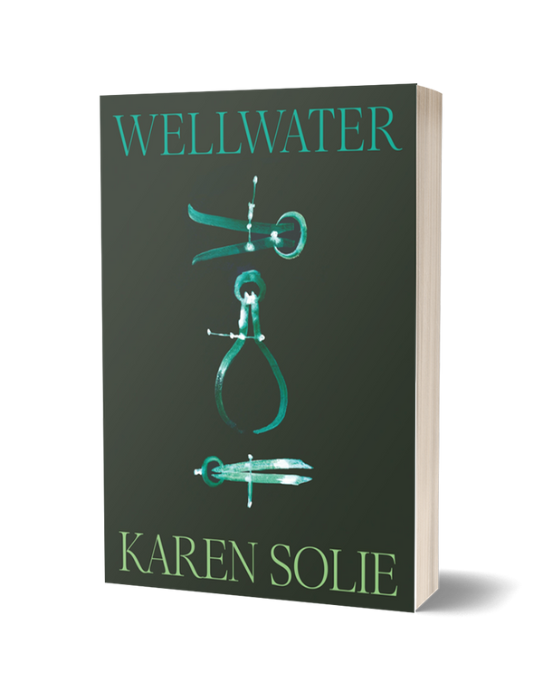 Wellwater by Karen Solie