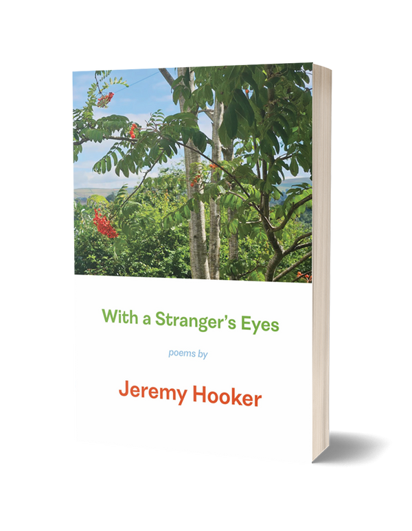 With a Stranger's Eyes by Jeremy Hooker