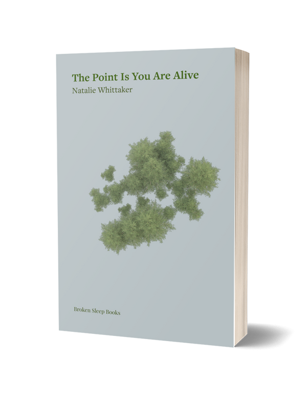 The Point Is You are Alive by Natalie Whittaker