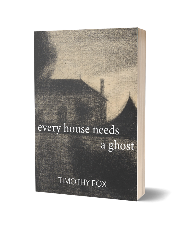 every house needs a ghost by Timothy Fox