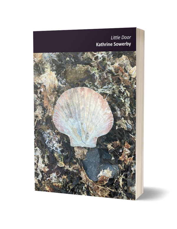Little Door by Kathrine Sowerby