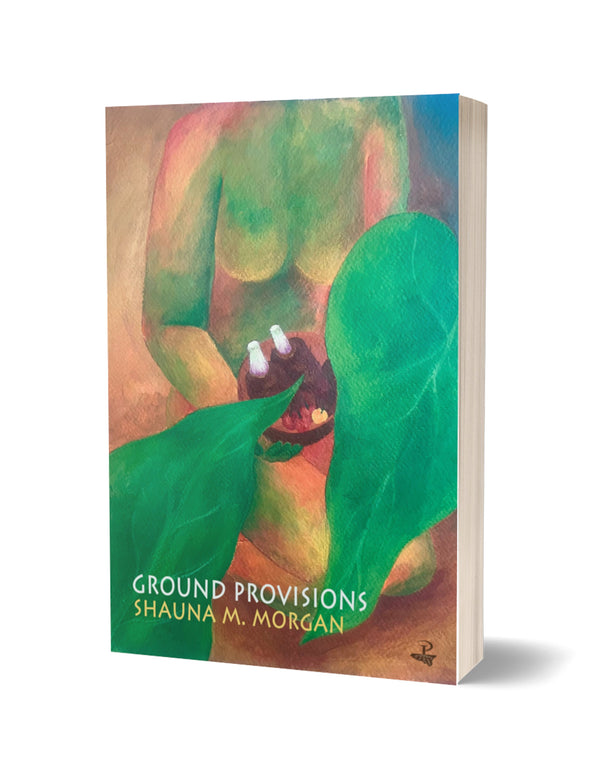 Ground Provisions by Shauna M. Morgan