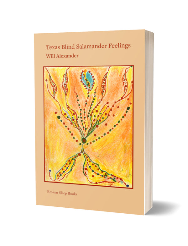 Texas Blind Salamander Feelings by Will Alexander PRE-ORDER