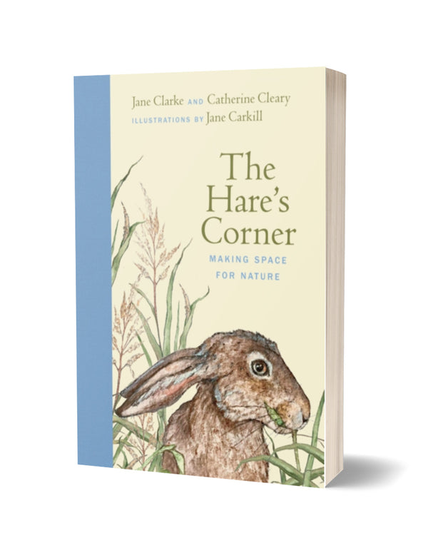 The Hare's Corner