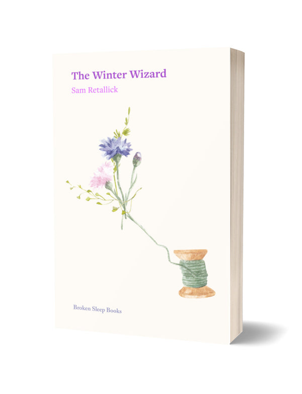 The Winter Wizard by Sam Retallick