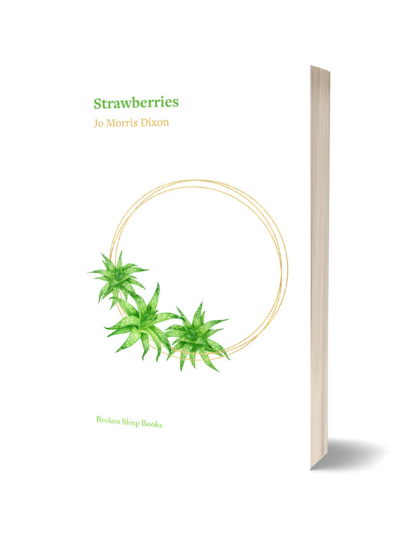Strawberries by Jo Morris Dixon