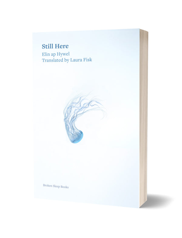 Still Here by Elin ap Hywel, trans. Laura Fisk