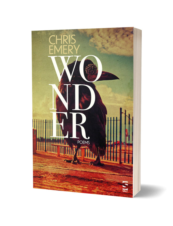 Wonder by Chris Emery