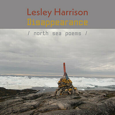 Disappearance by Lesley Harrison