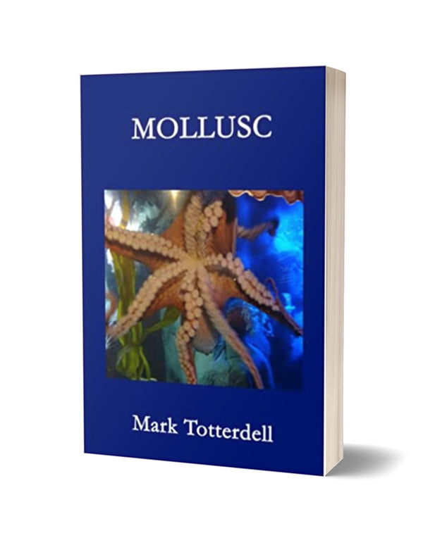 Mollusc by Mark Totterdell