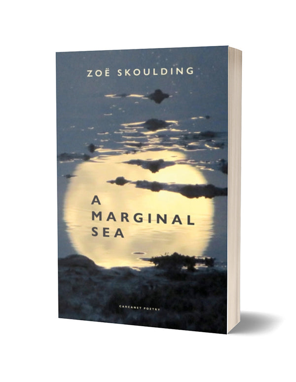 A Marginal Sea by Zoë Skoulding