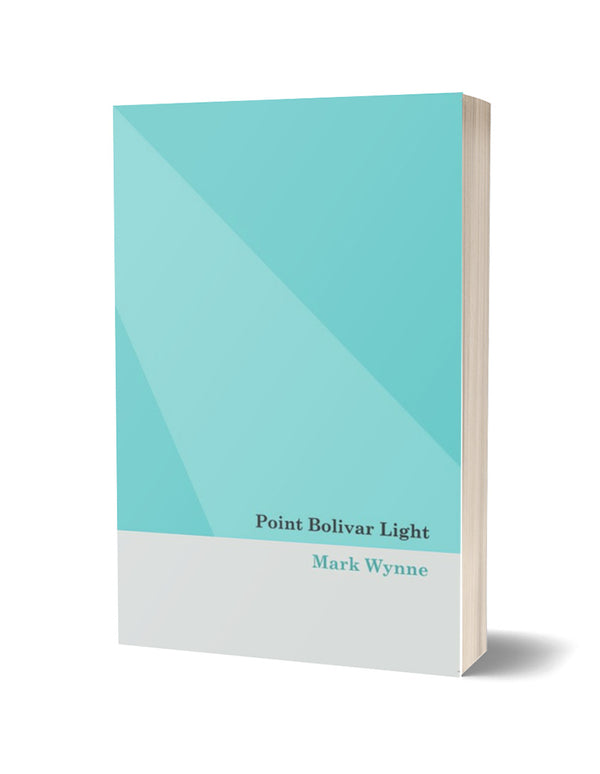 Point Bolivar Light by Mark Wynne