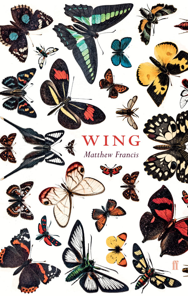 Wing by Matthew Francis