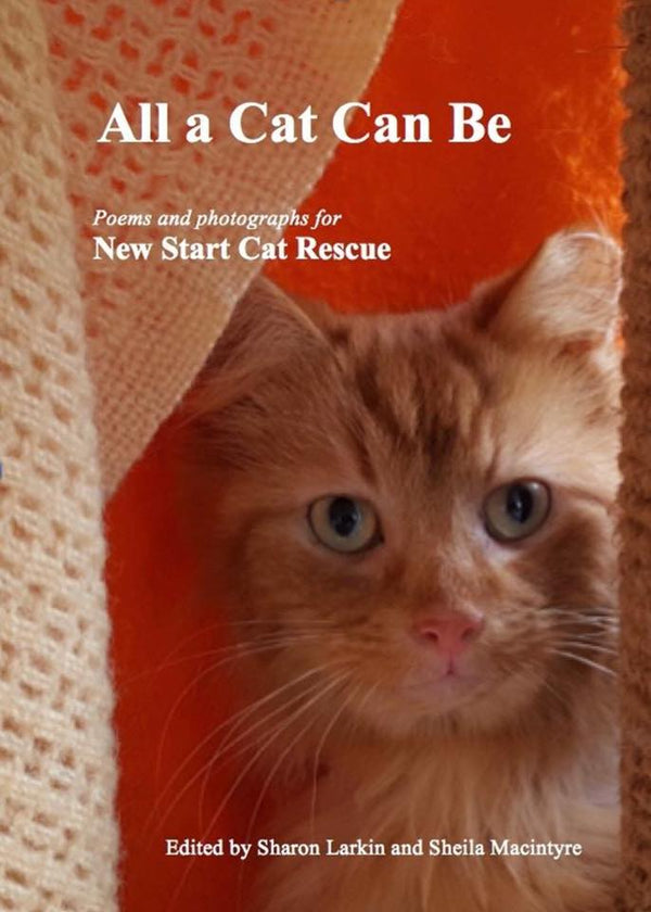 All a Cat Can Be