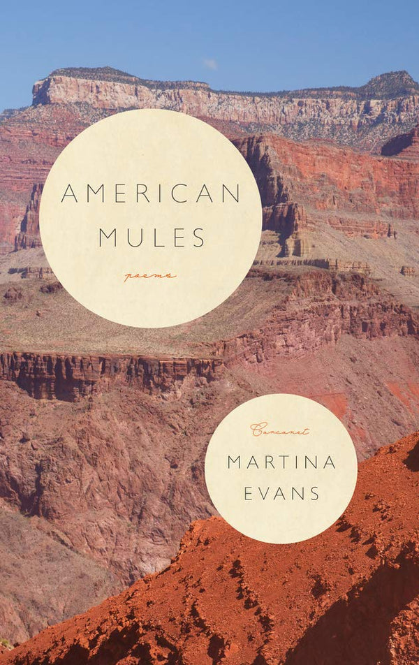 American Mules by Martina Evans
