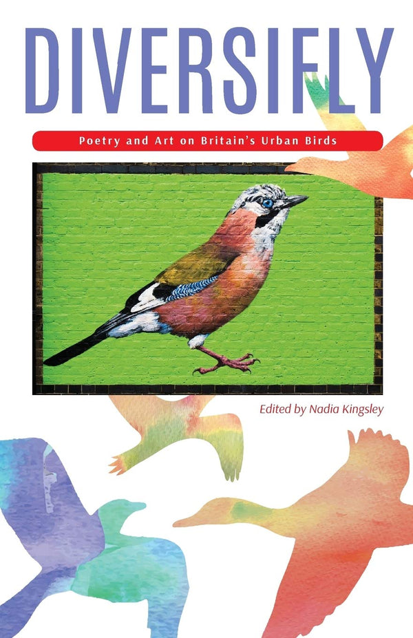 Diversifly : Poetry and Art on Britain's Urban Birds ed. By Nadia Kingsley
