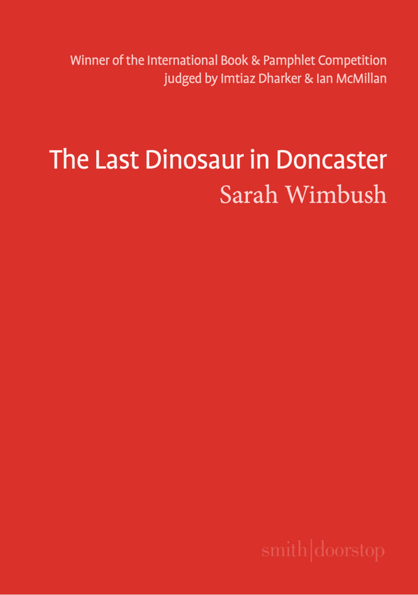 The Last Dinosaur in Doncaster by Sarah Wimbush