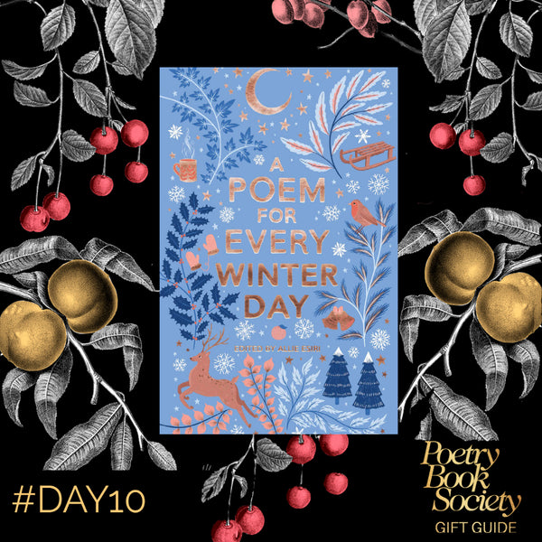 A Poem for Every Winter Day