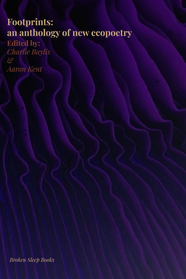 Footprints: an anthology of new ecopoetry