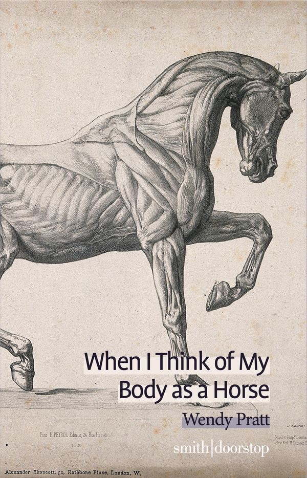 When I Think of My Body as a Horse by Wendy Pratt