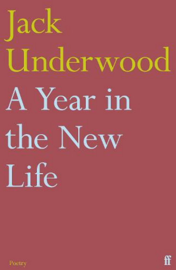 A Year in the New Life by Jack Underwood <br> <b> PBS Recommendation Autumn 2021</b>