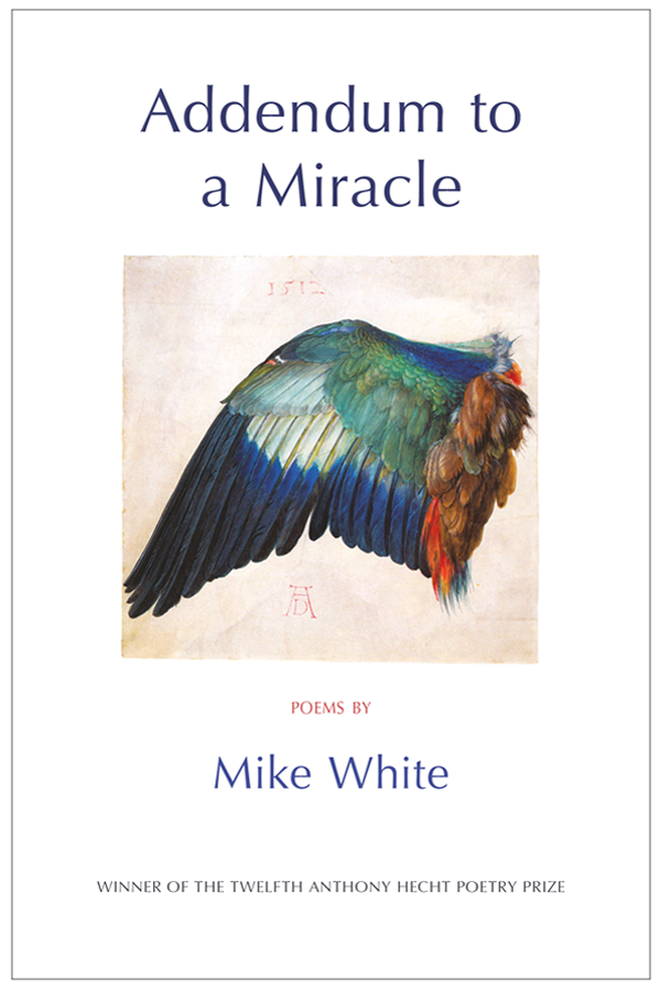 Addendum to a Miracle by Mike White