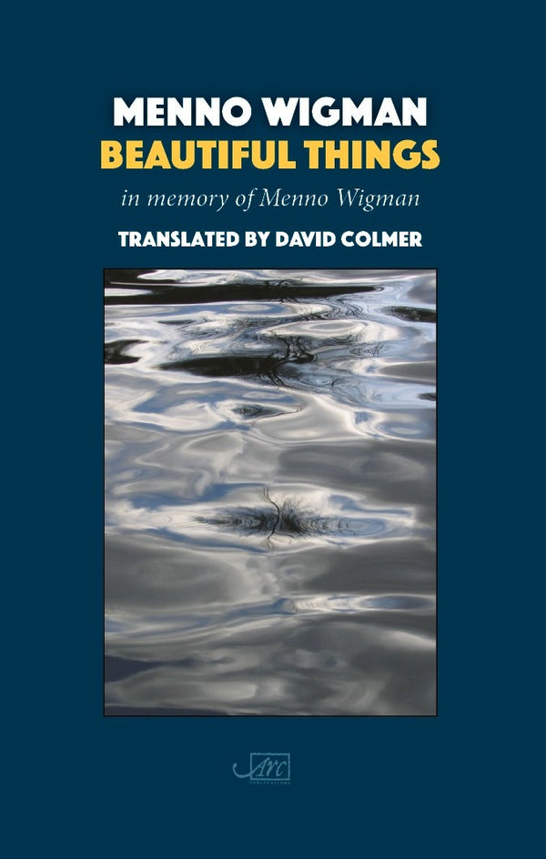 Beautiful Things by Menno Wigman, trans. David Colmer