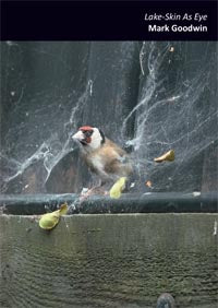 Lake-Skin as Eye by Mark Goodwin