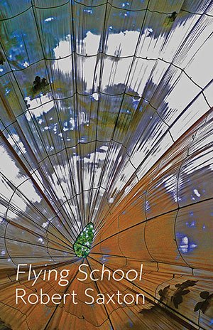 Flying School by Robert Saxton