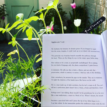 POEM OF THE WEEK: REBECCA PERRY