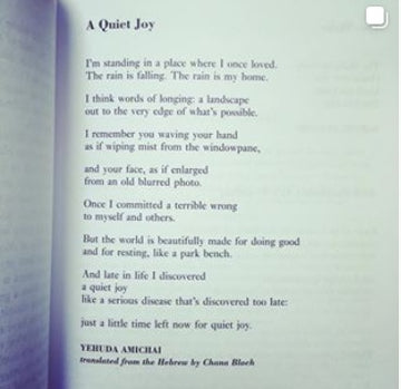 POEM A DAY: A QUIET JOY