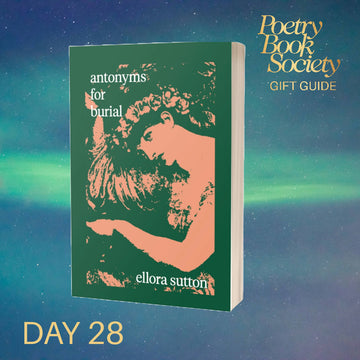 ADVENT DAY 28