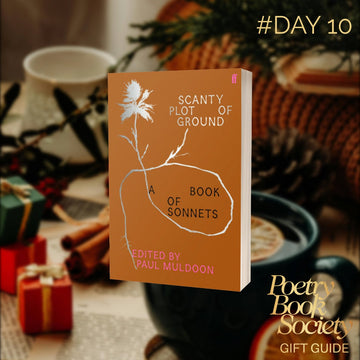 DAY 10: SCANTY PLOT OF GROUND