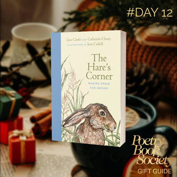 DAY 12: THE HARE'S CORNER
