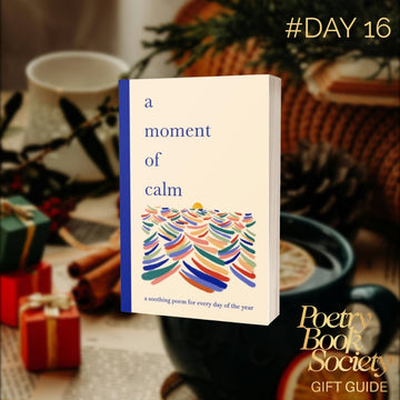DAY 16: A MOMENT OF CALM