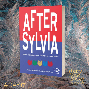 Christmas Gift Guide Day 17