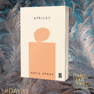 Christmas Gift Guide Day 20