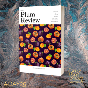 Christmas Gift Guide Day 25