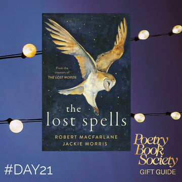 PBS GIFT GUIDE DAY 21: THE LOST SPELLS