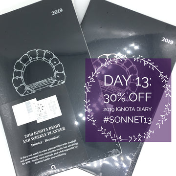 DAY 13: IGNOTA DIARY